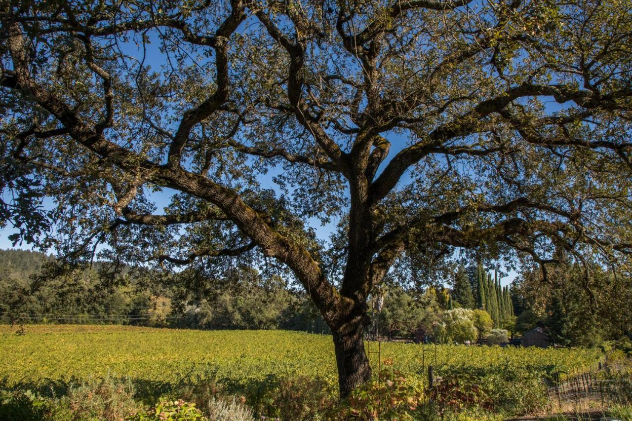 Wine Country Inn Napa Valley St. Helena Bagian luar foto